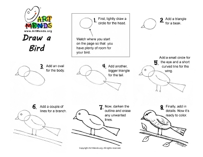 Draw a bird